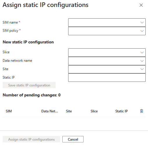 A screenshot that shows the Assign static IP configurations box.