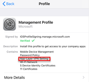 Yönetim Profili'nin VPN profiline sahip olduğunu gösteren ekran görüntüsü.