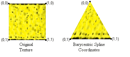 özgün dokunun ve barycentrik spline tabanlı koordinatlara sahip dokunun illustrasyonu