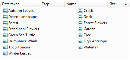 küçük resim listesi görünümünün ekran görüntüsü 