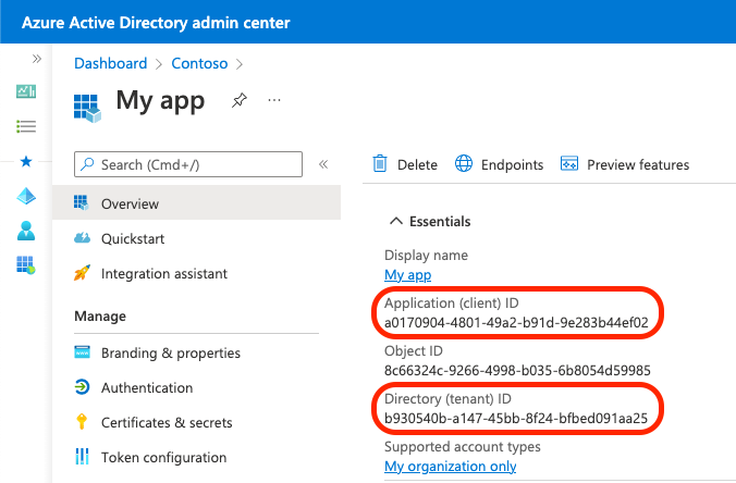 Screenshot that shows how to copy app and directory identifiers.