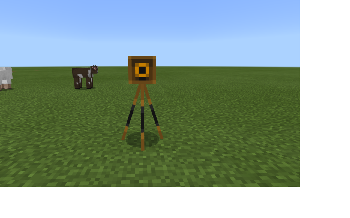 Screenshot of the Camera tool in Minecraft Education.