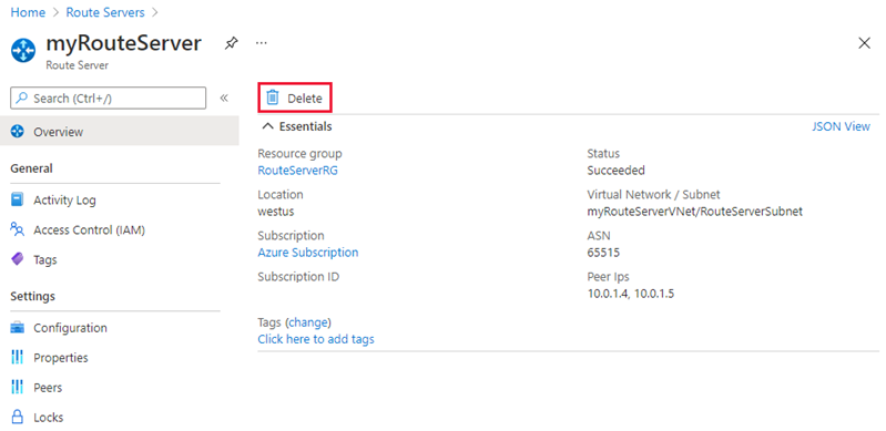 Screenshot of how to delete Route Server.
