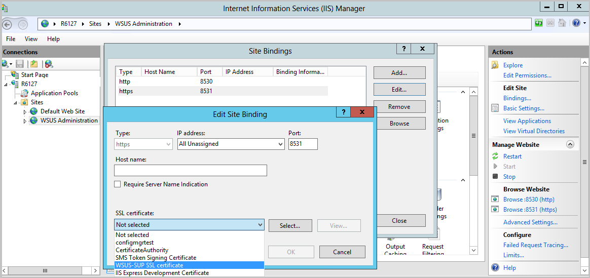 Edit Site Binding window with SSL certificate selection