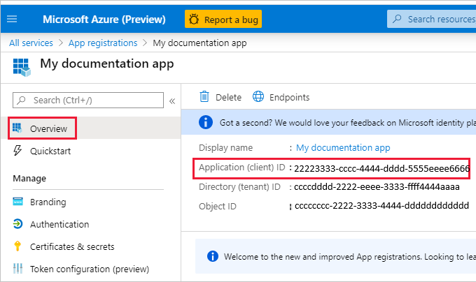 Screenshot of the Overview page of the new app. The Application ID is indecipherable and is highlighted.