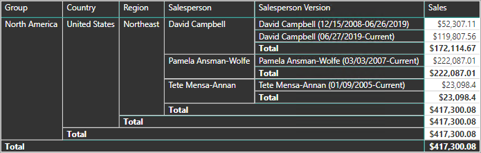 Image shows the resulting hierarchy, including levels for Salesperson and Salesperson Version.