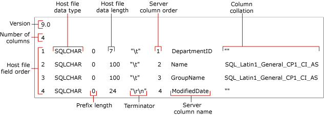 Identifies the fields of a non-xml format file.