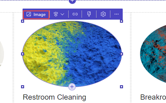 Screenshot of an image on a webpage and the Image button.