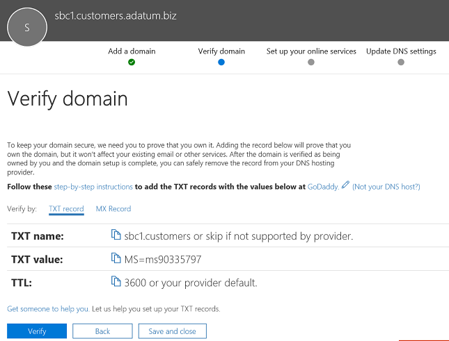 Screenshot of text records on the Verify domain page.