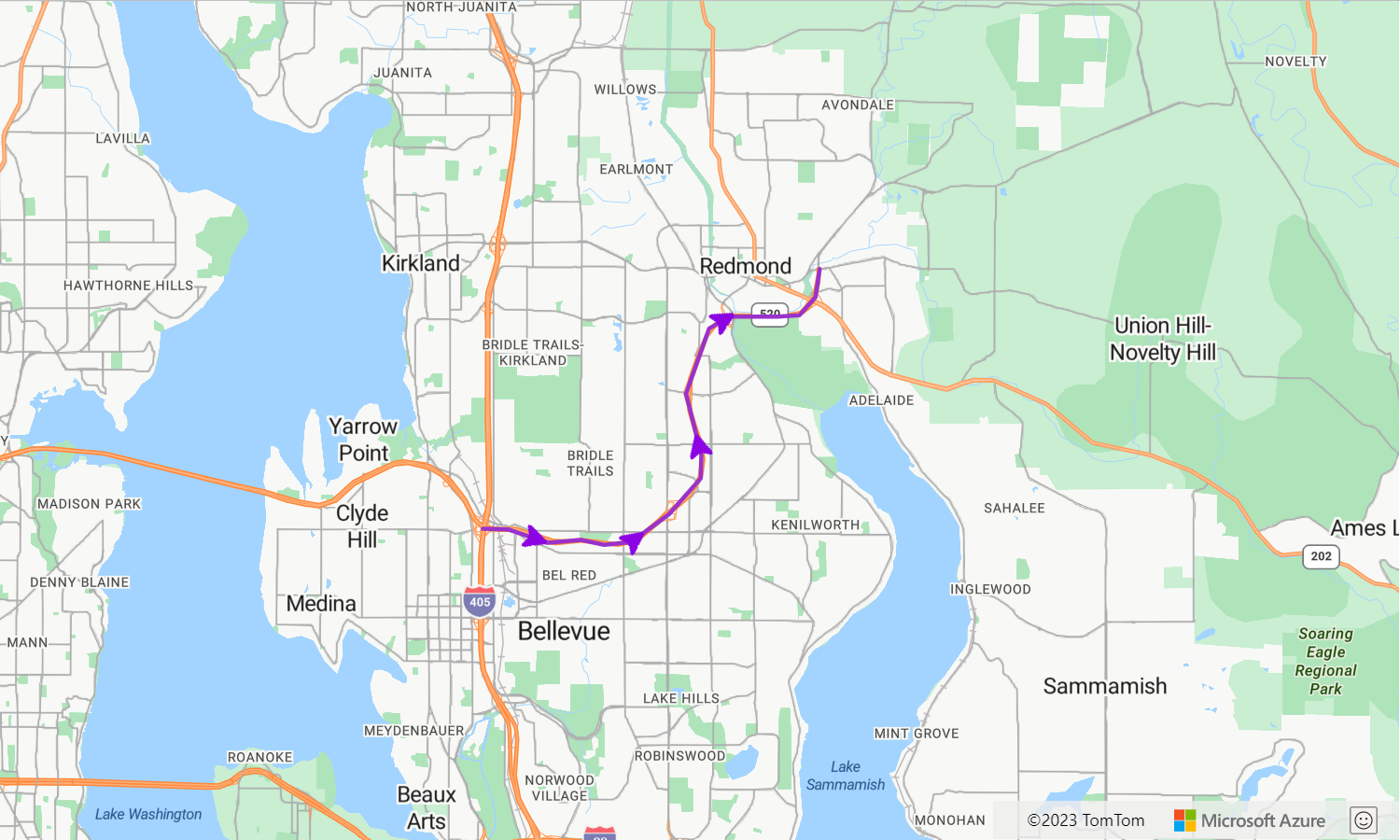 A screenshot showing a line layer on an Azure Maps map with arrow symbols along the line.