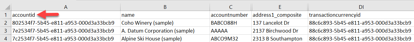 Tệp xuất mẫu từ bảng Tài khoản hiển thị accountid làm khóa chính.