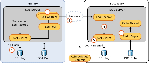 Screenshot of Availability group data synchronization.
