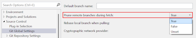 Screenshot that shows the 'Prune remote branches during fetch' option highlighted with 'True' selected in the dropdown list.