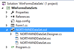 DataSet in Solution Explorer DataSet in Solution Explorer