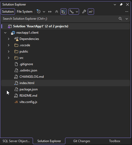 Solution Explorer tool window with the File System view