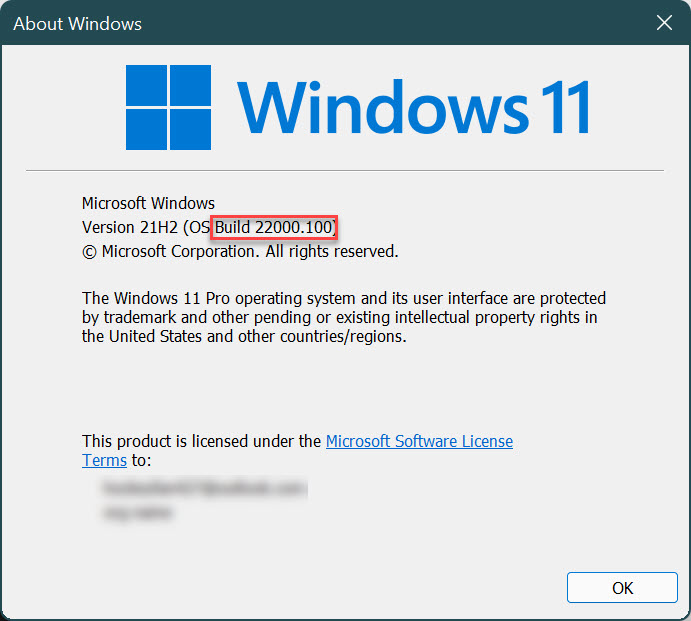 Windows About dialog box. The About Windows module that pops up from running the winver command, highlighting the Build 22000.100 the device is on.