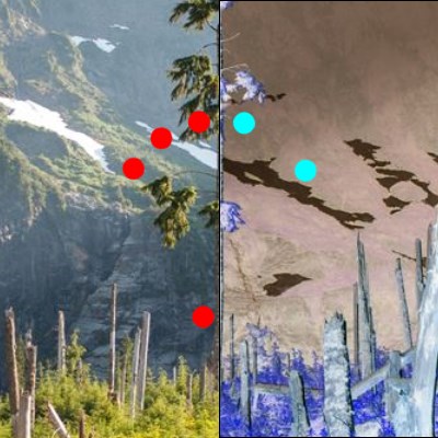 Backdrop Invert Backdrop Invert