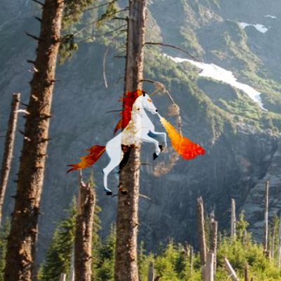 Image Blend Image Blend
