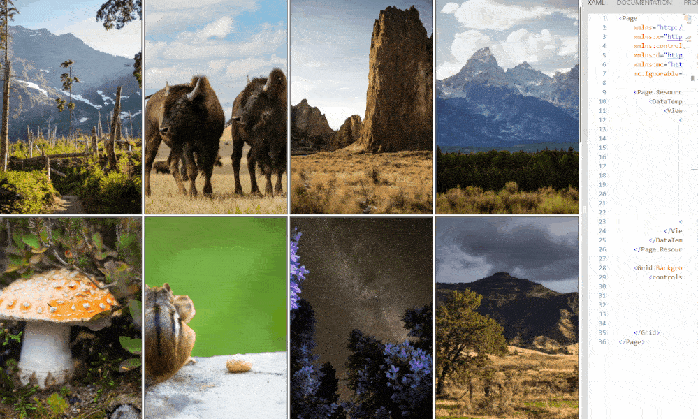 AdaptiveGridView Viewbox scaled