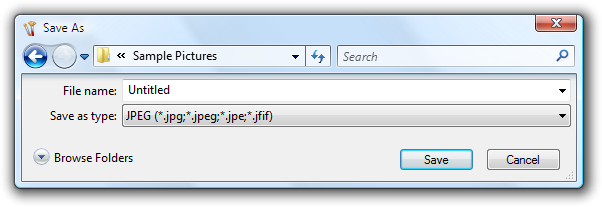 screen shot of save as dialog box