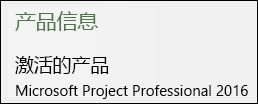 产品信息 - Project Professional 2016。