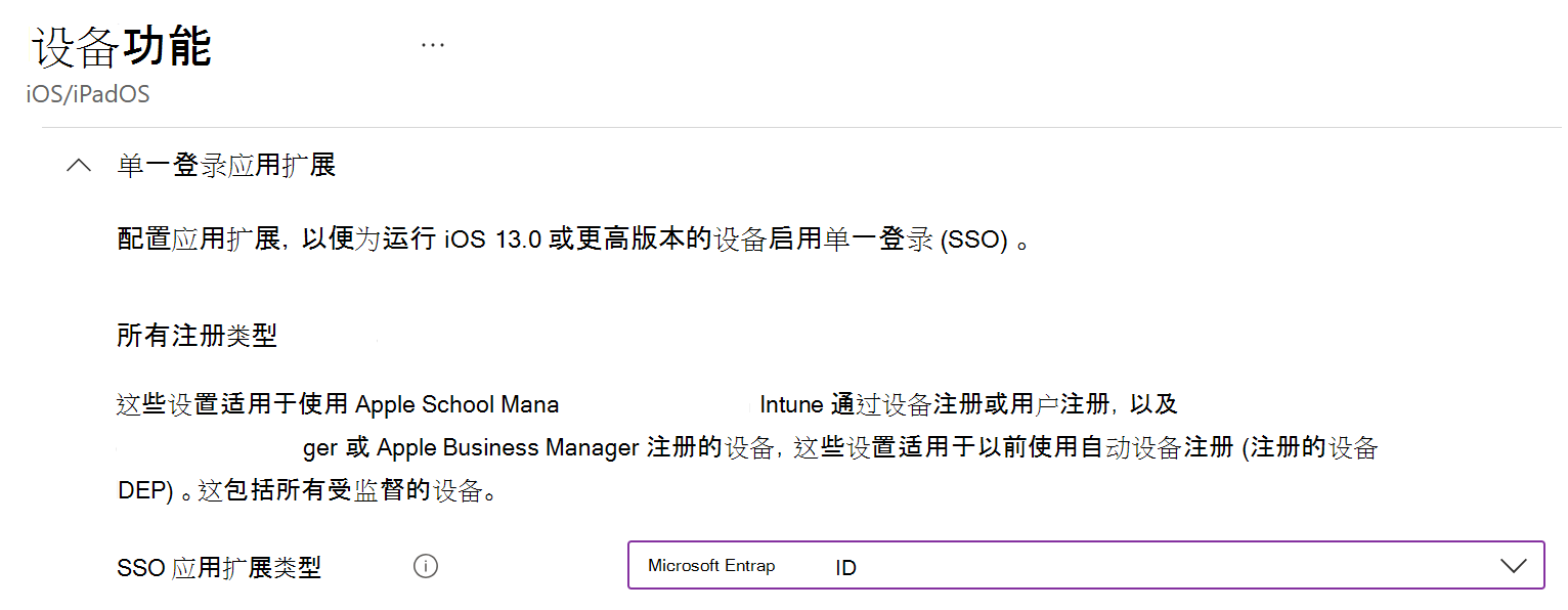 显示 Intune 中适用于 iOS/iPadOS 的 SSO 应用扩展类型和Microsoft Entra ID 的屏幕截图。