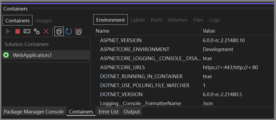 Visual Studio 中“容器”窗口的屏幕截图，其中显示容器的“环境”变量。