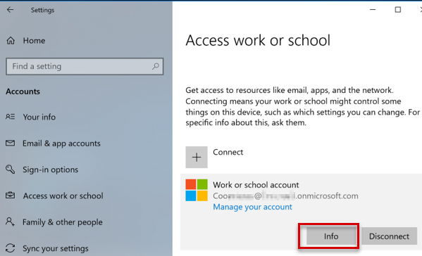 顯示 Windows 中已安裝 VPN 設定檔的螢幕快照。
