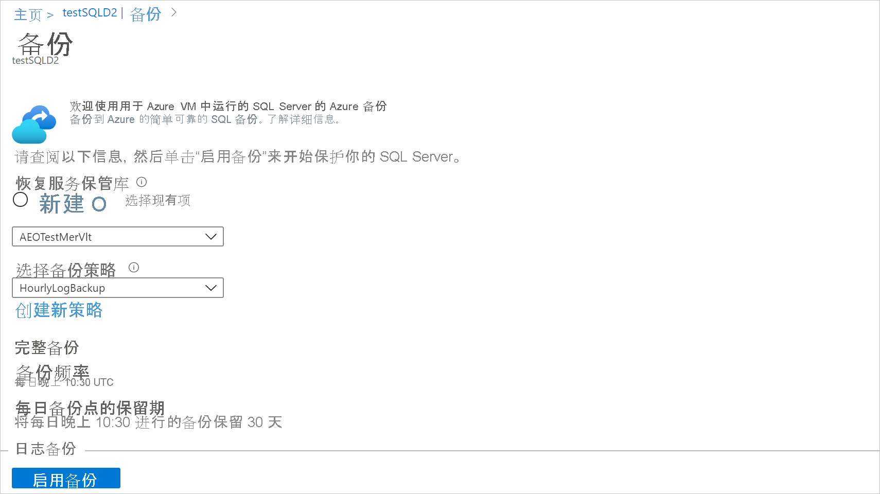 屏幕截图显示了如何选择备份策略。