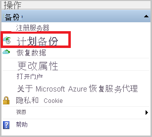 屏幕截图显示了如何计划 Windows Server 备份。