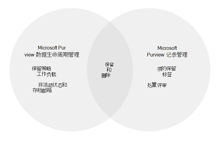 使用 Microsoft Purview 配置和使用来监视数据的主要组件。