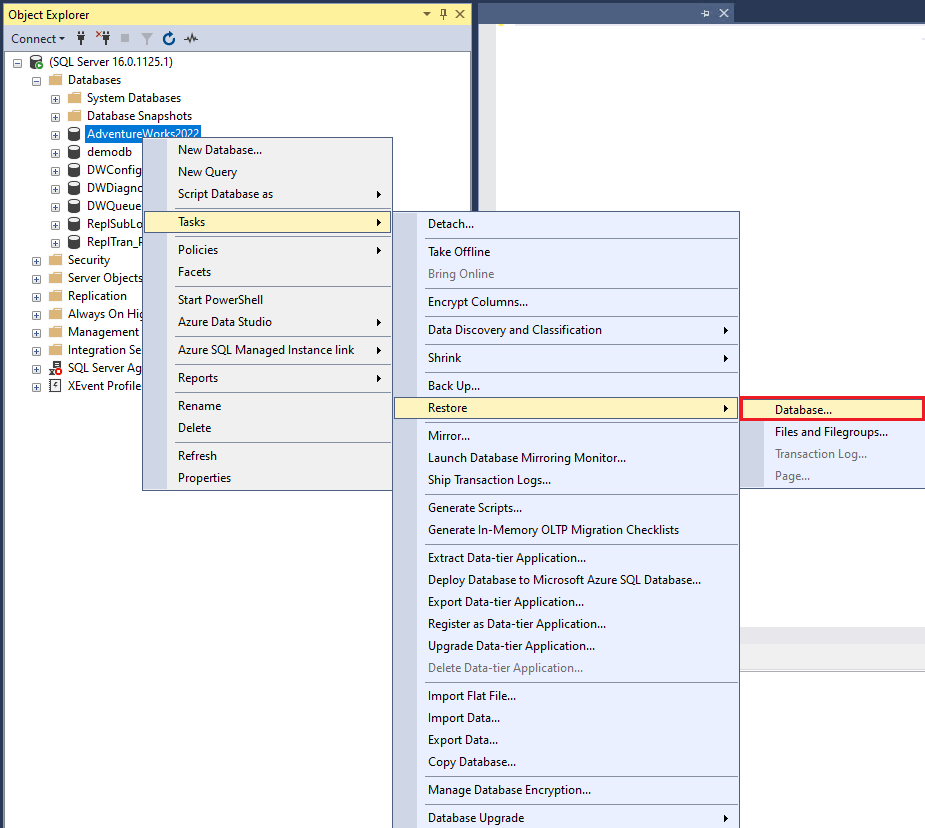 在 SQL Server Management Studio 中选择还原数据库的屏幕截图。