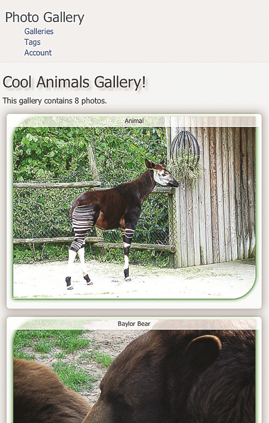 Photo Gallery, Tablet-Friendly View