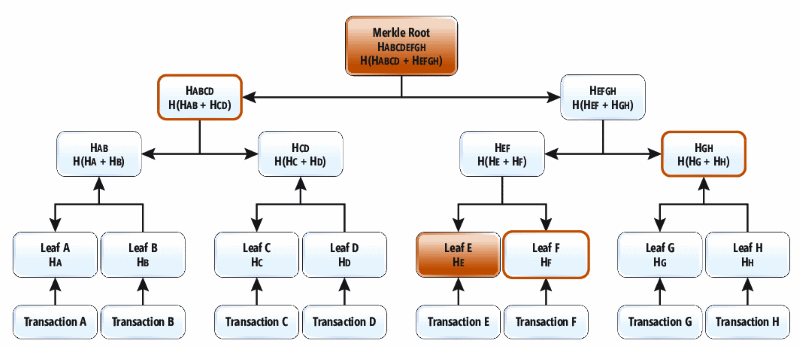 Merkle 树是一种生成 Merkle 根哈希的二叉哈希树；此数据结构可以有效添加叶节点，并计算新 Merkle 根，而无需完全重新计算