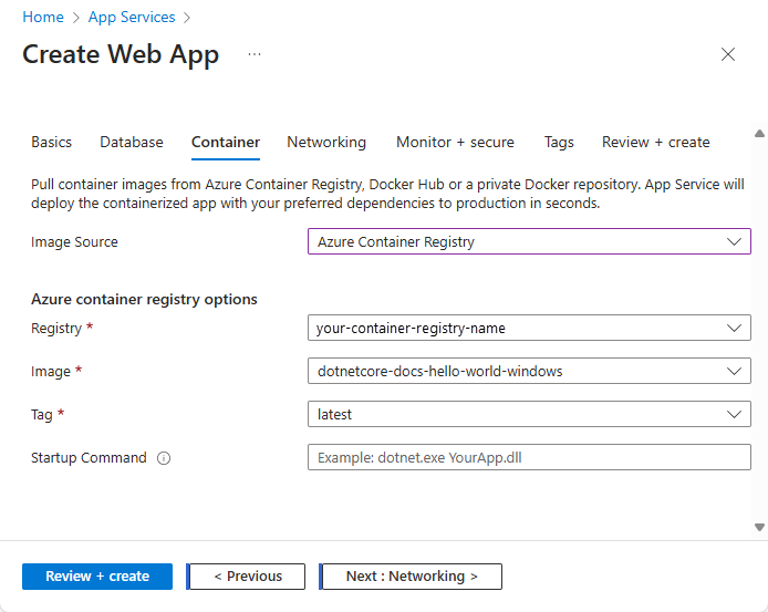 屏幕截图显示 Azure 容器注册表选项。