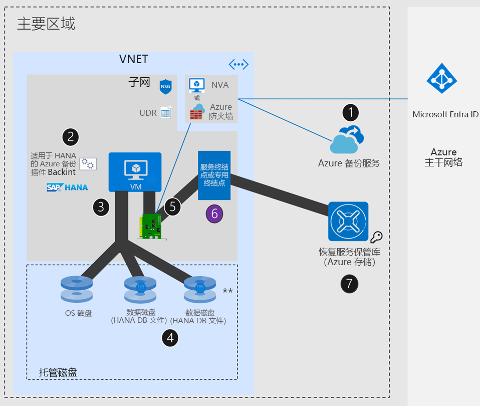 显示 Azure 网络具有 UDR + NVA/Azure 防火墙 + 专用终结点或服务终结点时的 SAP HANA 设置的关系图。