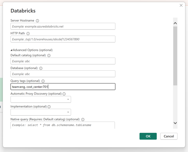 Power BI 中的 Databricks 设置对话框。