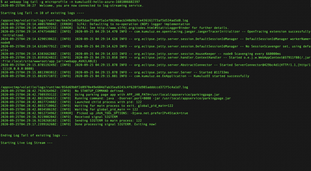 Screenshot of terminal window showing the log stream.