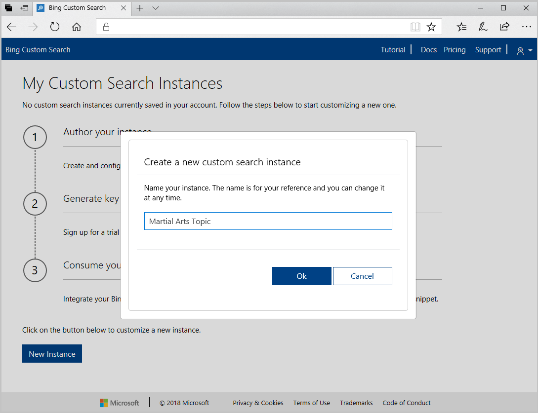 Screenshot of the Create a new custom search instance box