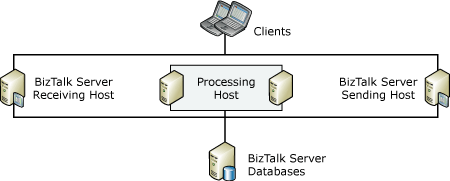 Scaled Out Processing Host