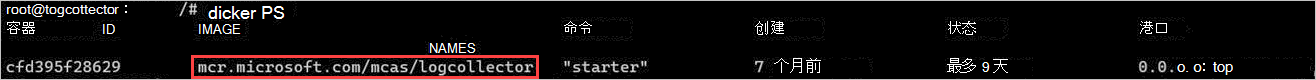 正在运行的 Docker 容器的屏幕截图。