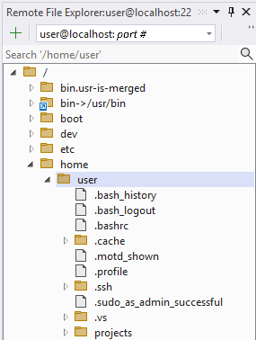 远程文件资源管理器的屏幕截图。远程计算机上的文件夹系统可见。