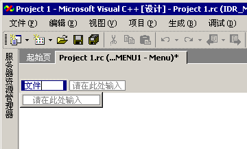 已展开的新建项目框。