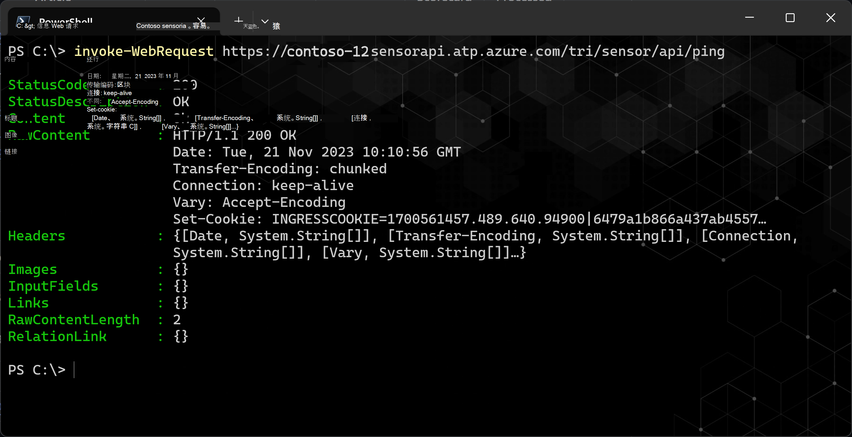 HTTP 200 状态代码的屏幕截图， (正常) 。