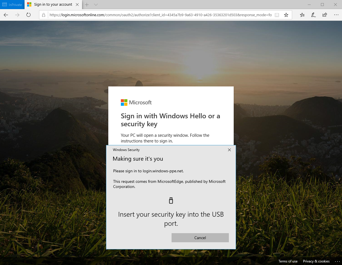 Screenshot of option to choose security key on Windows 10 version 1903 or higher.