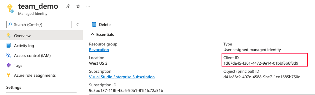 Screenshot showing the client ID for the managed identity in the portal.