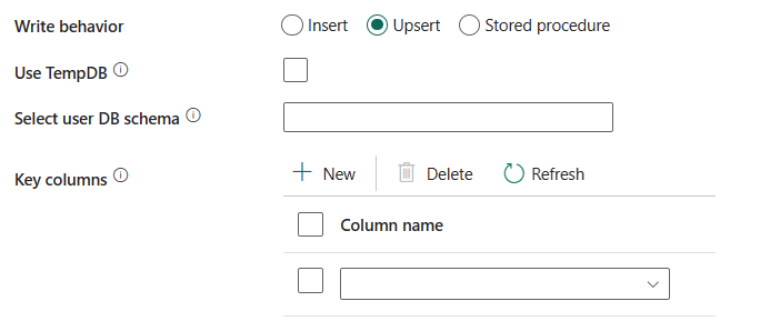 显示未选择“使用 TempDB”的屏幕截图。