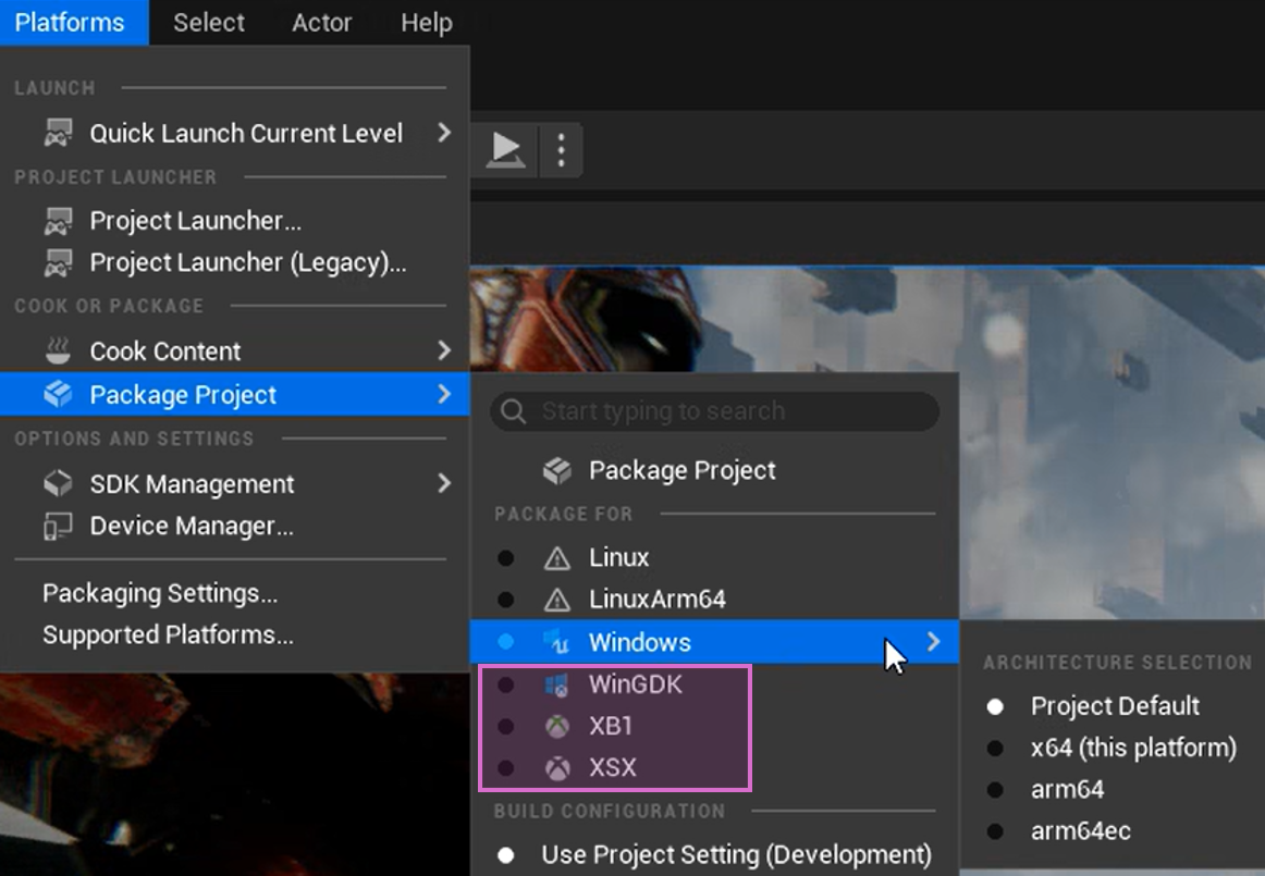 在 Unreal 编辑器中Unreal Engine GDK 平台