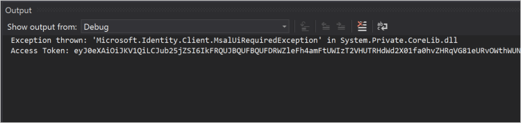 "输出"窗口中的屏幕截图Visual Studio