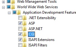 Screenshot of the Internet Information Services navigation tree. Application Development Features is expanded. C G I is selected and highlighted.